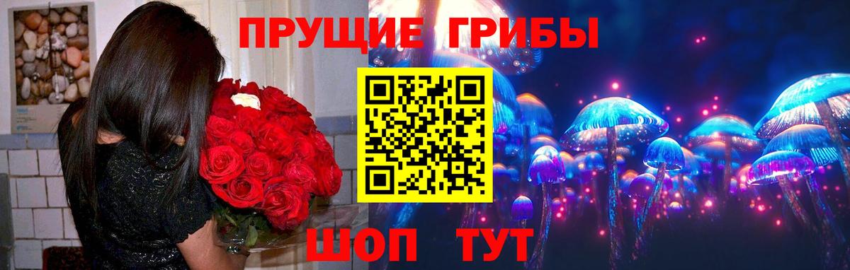 Галлюциногенные грибы Psilocybe  Вход с VPN  Долгопрудный 